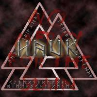 Hauk (USA) : No Mercy for the Slain